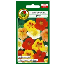 Nasiona Nasturcja pnąca pnos826