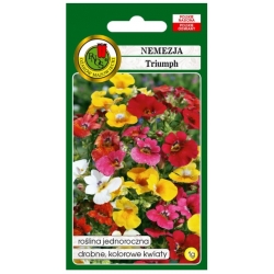 Nasiona Nemezja jawnostka Triumph pnos829