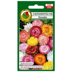 Nasiona Nieśmiertelnik suchokwiat mix pnos834