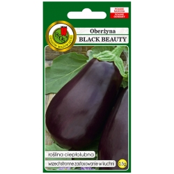 nasiona Oberżyna Black Beauty pnos180