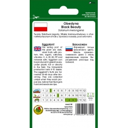 nasiona Oberżyna Black Beauty pnos180