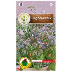 Nasiona Ogórecznik lekarski pnos549