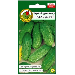 nasiona Ogórek gruntowy Aladyn pnos182