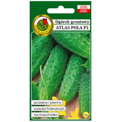 nasiona Ogórek gruntowy Atlas Pola pnos186