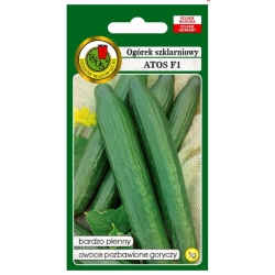 nasiona Ogórek pod osłony Atos pnos219