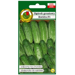 nasiona Ogórek gruntowy Basza pnos187
