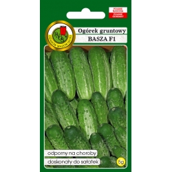 nasiona Ogórek gruntowy Basza pnos187