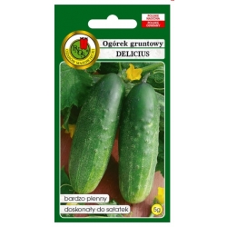 nasiona Ogórek gruntowy Delicius pnos191