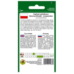 nasiona Ogórek gładki Gracius pnos181