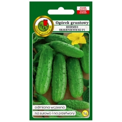 nasiona Ogórek gruntowy Hermes skiern. pnos193