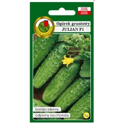 nasiona Ogórek gruntowy Julian pnos196