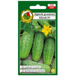 nasiona Ogórek gruntowy Krak pnos197