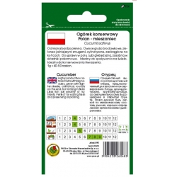 nasiona Ogórek gruntowy Polan pnos204