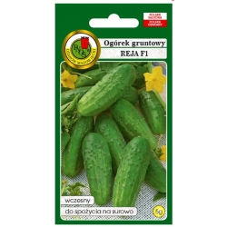 nasiona Ogórek gruntowy Reja pnos206