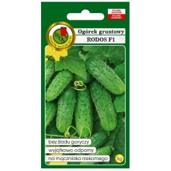 nasiona Ogórek gruntowy Rodos pnos207