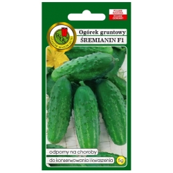 nasiona Ogórek gruntowy Śremianin pnos212