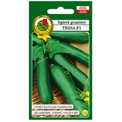 nasiona Ogórek gruntowy Tessa pnos215