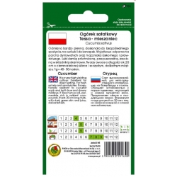 nasiona Ogórek gruntowy Tessa pnos215