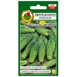 nasiona Ogórek gruntowy Tytus pnos217