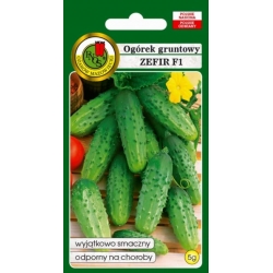 nasiona Ogórek gruntowy Zefir pnos958