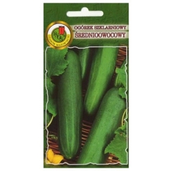 nasiona Ogórek pod osłony Caruso pnos220