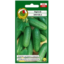 nasiona Ogórek pod osłony Monika pnos226