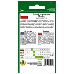 nasiona Ogórek pod osłony Monika pnos226