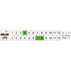 nasiona Okra Burgundy pnos230