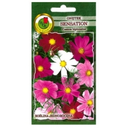 Nasiona Onętek Kosmos Sensation pnos840