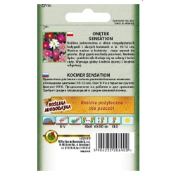 Nasiona Onętek Kosmos Sensation pnos840