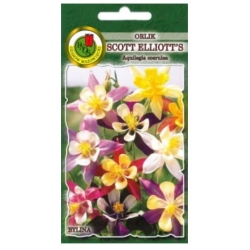 Nasiona Orlik Scott Elliott pnos843