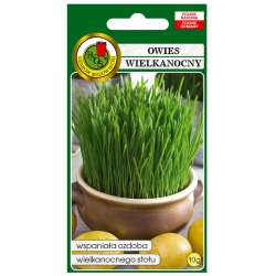 nasiona Owies Wielkanocny pnos232