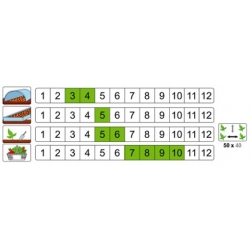 Atrakcyjna odmiana średnio wczesna o ciemnopomarańczowych owocach (początkowo ciemnozielonych), przeznaczona do uprawy w nieogrzewanych tunelach foliowych, a w sprzyjających warunkach także w polu. Rośliny osiągają wysokość ok. 70 cm, wymagają podpór i us