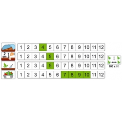 nasiona Patison Gagat pnos250