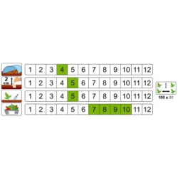 nasiona Patison Polo pnos252