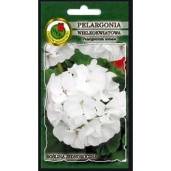 Nasiona Pelargonia rabatowa biała pnos849