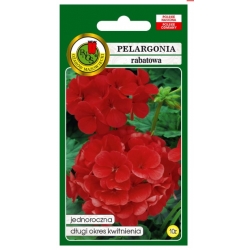 Nasiona Pelargonia rabatowa czerwona pnos850