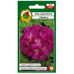 Nasiona Pelargonia rabatowa fioletowa pnos851