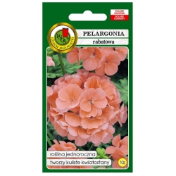Nasiona Pelargonia rabatowa łososiowa pnos852