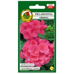 Nasiona Pelargonia rabatowa różowa pnos853
