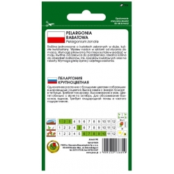 Nasiona Pelargonia rabatowa różowa pnos853
