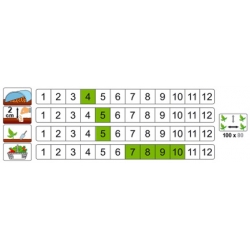 nasiona Patison Disco pnos249