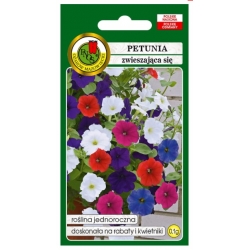 Nasiona Petunia zwieszająca się pnos854