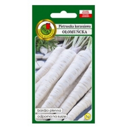 nasiona Pietruszka korzeniowa Ołomuńcka pnos263