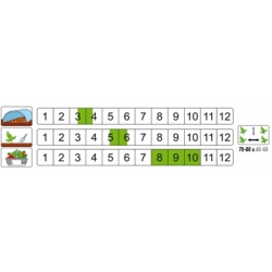 nasiona Pomidor grunt Bawole Serce pnos295