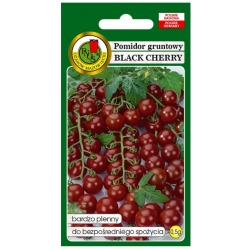 nasiona Pomidor gruntowy Black Cherry pnos273