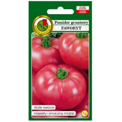 nasiona Pomidor gruntowy Faworyt pnos275