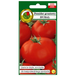 nasiona Pomidor gruntowy Hubal pnos277