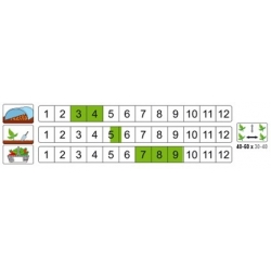 nasiona Pomidor gruntowy Hubal pnos277