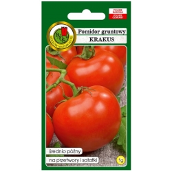 nasiona Pomidor gruntowy Krakus pnos281